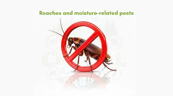Roaches and moisture-related pests
