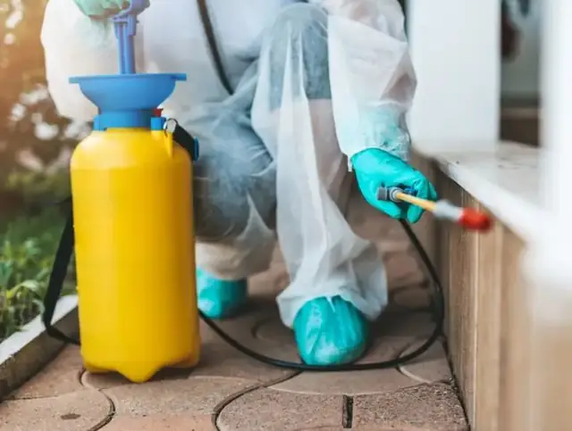Technician treating a home exterior