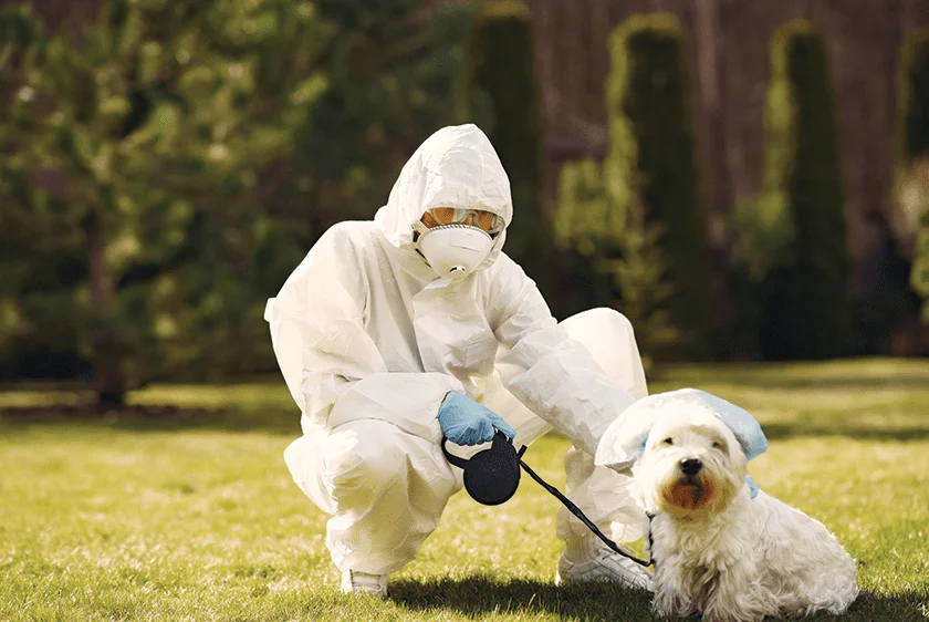 Crystal Creek technician in protective gear kneeling on a lawn beside a small white dog