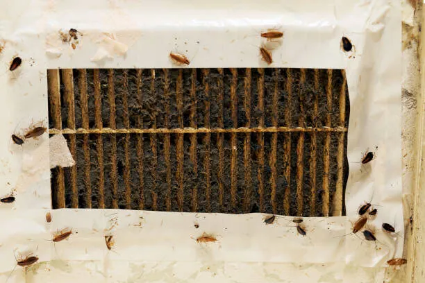 Roaches crawling over a badly clogged AC return filter