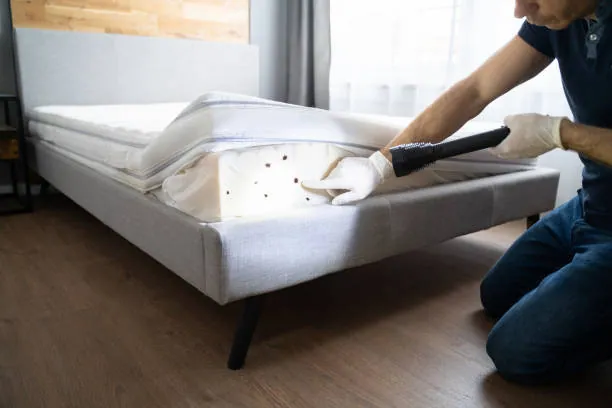 Technician inspecting a mattress seam for bed bugs
